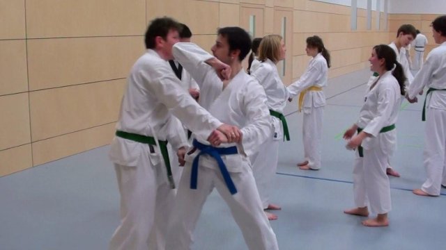 Taekwondo Training